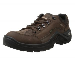 Lowa Renegade GTX Lo Shoe
