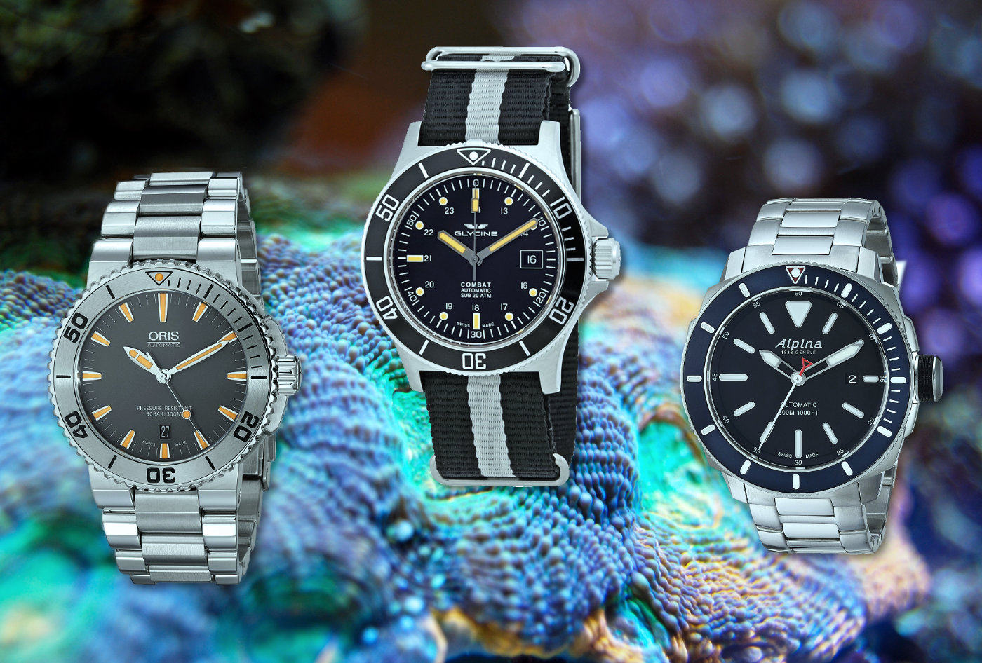 Baleinwalvis voor Souvenir Top 5: Best Dive Watches for Under $1,000 — 60Clicks